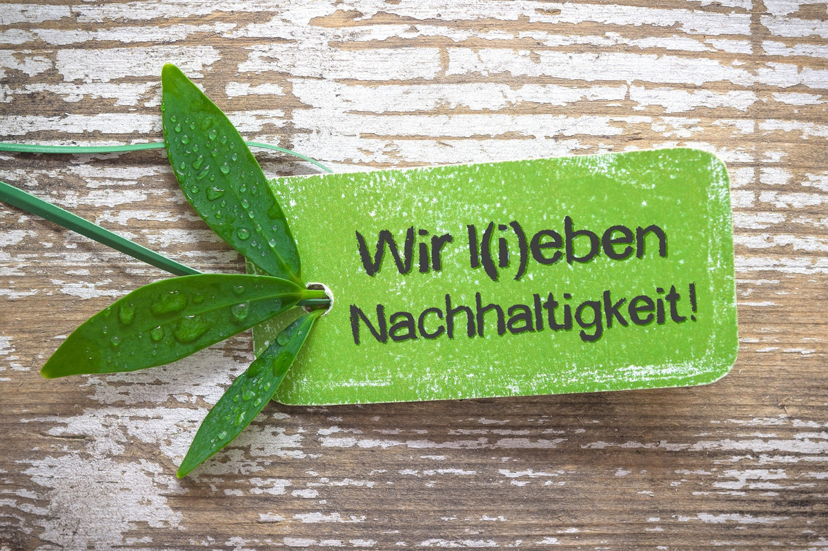 flaixclean.com und die Nachhaltigkeit